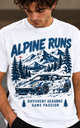 Alpine Runs